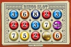 Play Bingo Slots Slots now!