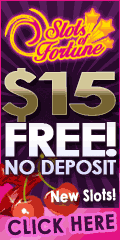 Slots of Fortune Casino