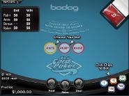 Tri Card Poker